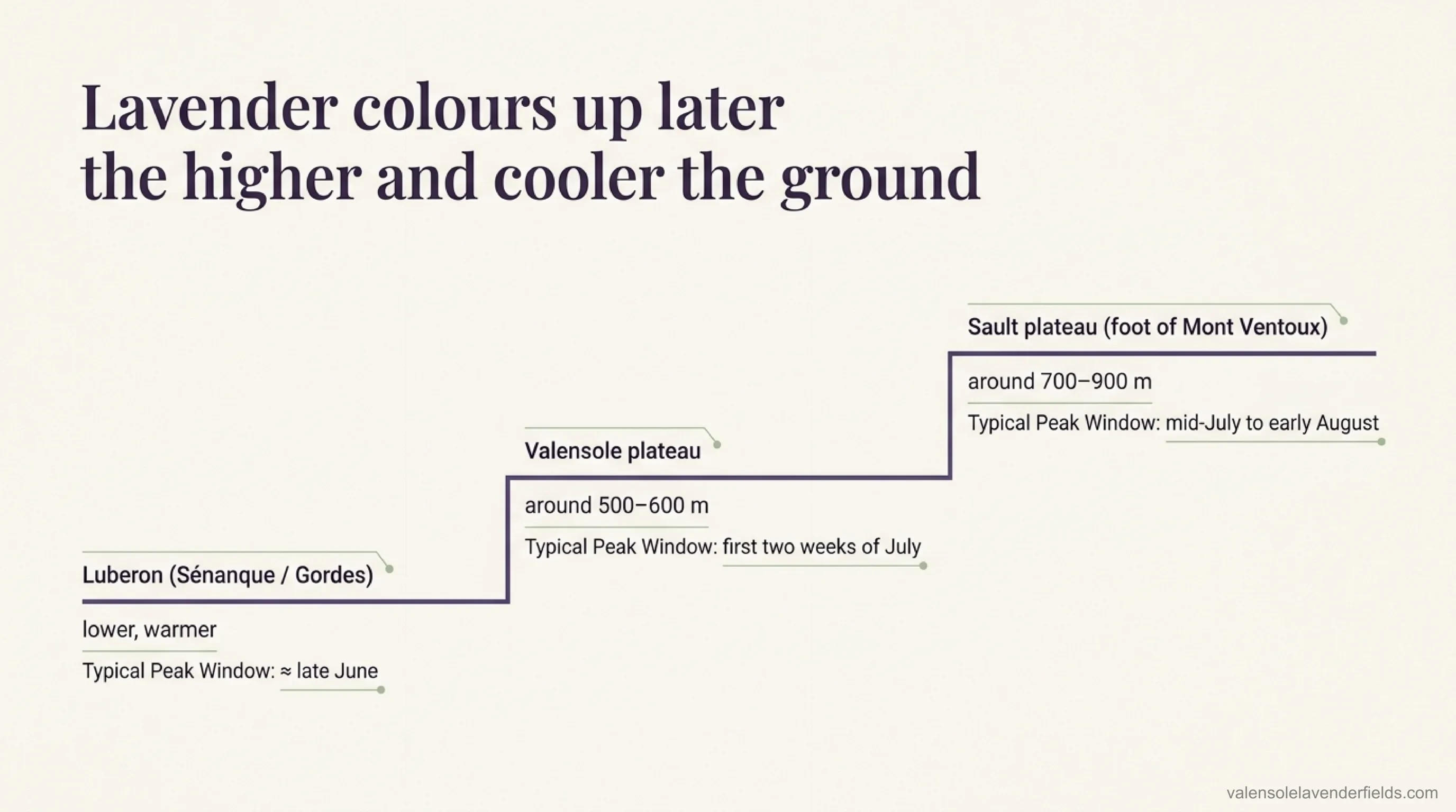 Why elevation moves the Provence lavender bloom date — Luberon (lower, warmer, late June), the Valensole plateau (500–600 m, first two weeks of July) and the Sault plateau (700–900 m, mid-July to early August)