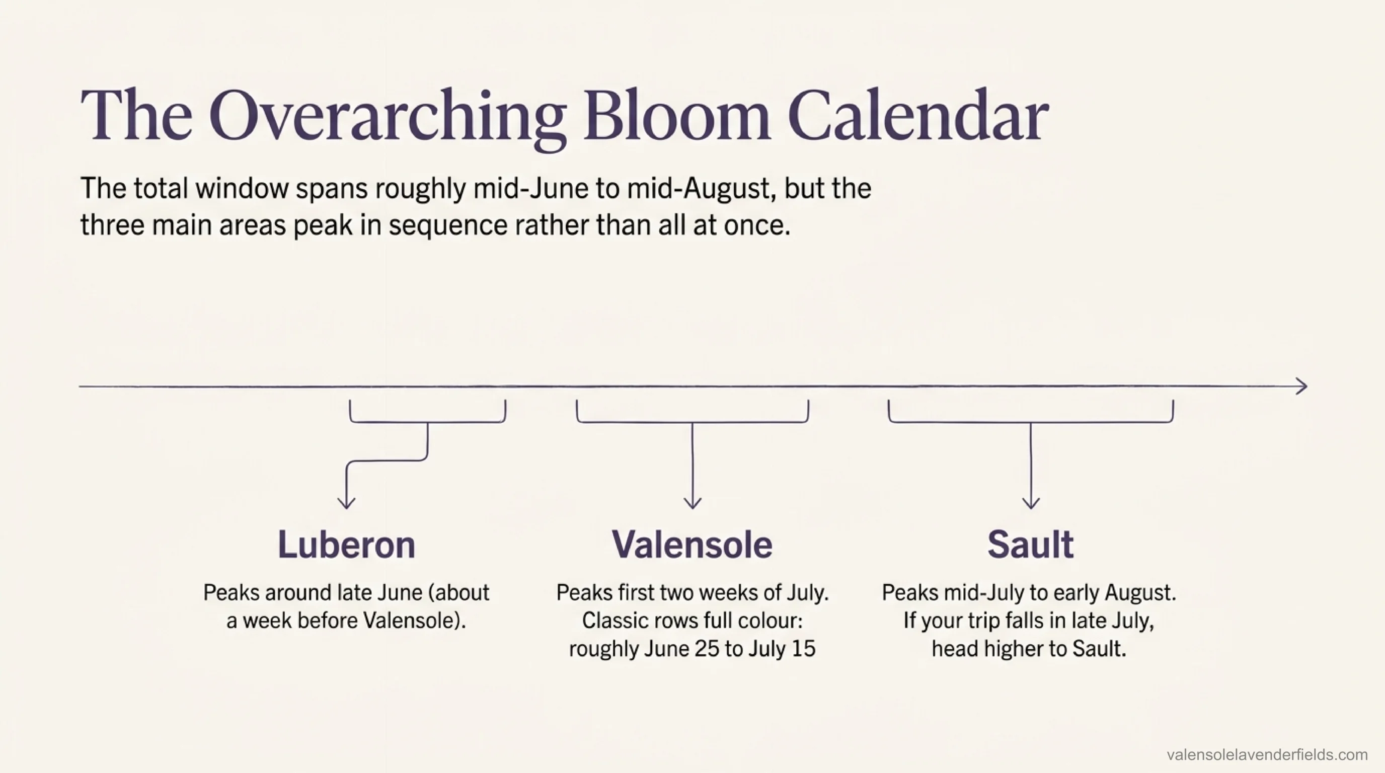 Provence lavender bloom calendar — a mid-June to mid-August timeline showing the Luberon, Valensole and Sault plateaus peaking in sequence, one after another