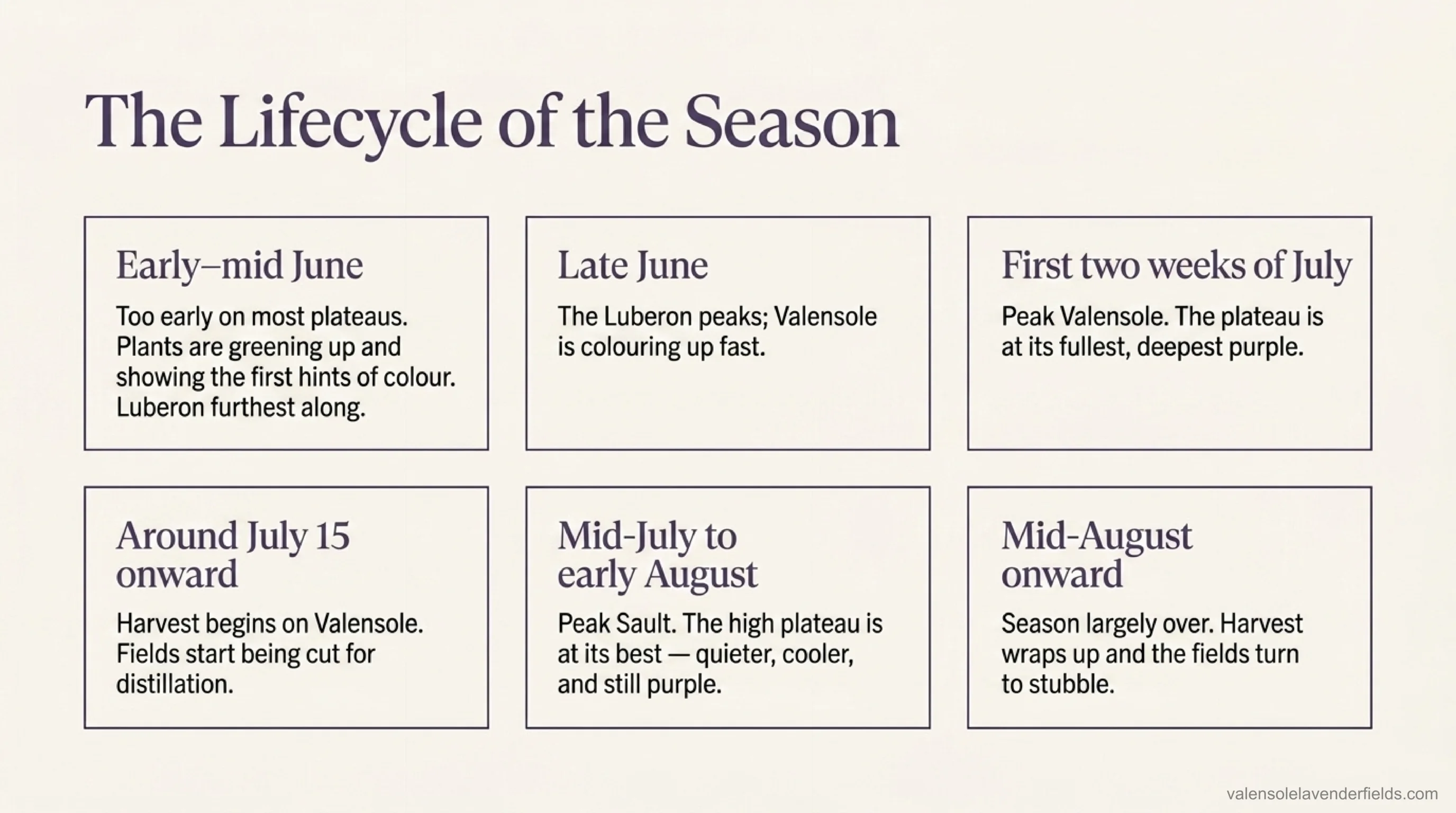 The Provence lavender season month by month — greening fields in early June, Luberon peaking late June, peak Valensole in the first two weeks of July, harvest from around July 15, peak Sault mid-July to early August, and stubble by mid-August